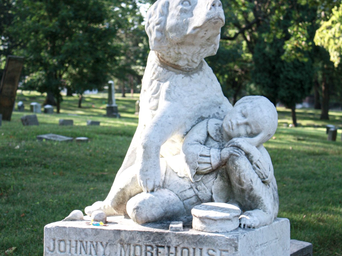 Johnny and his&nbsp;dog