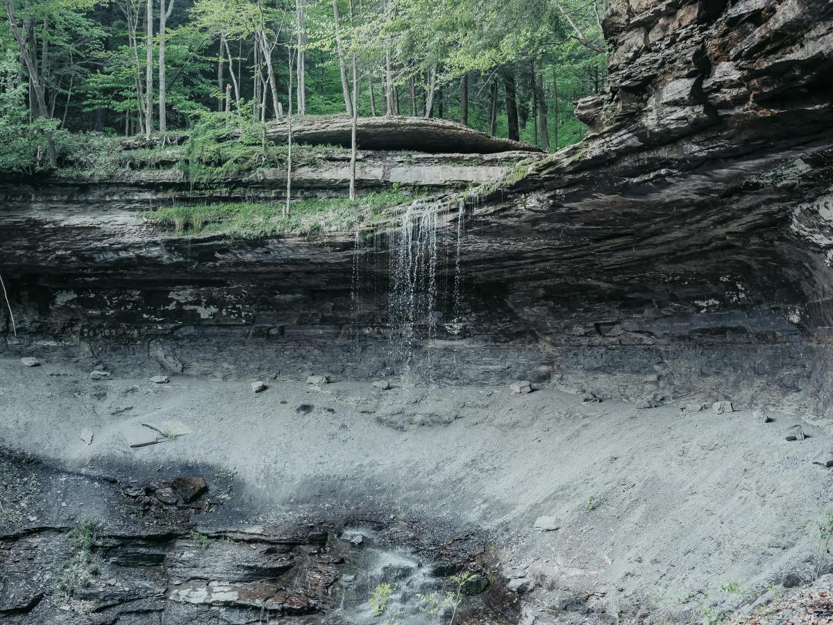 Little Maude and the&nbsp;Poem