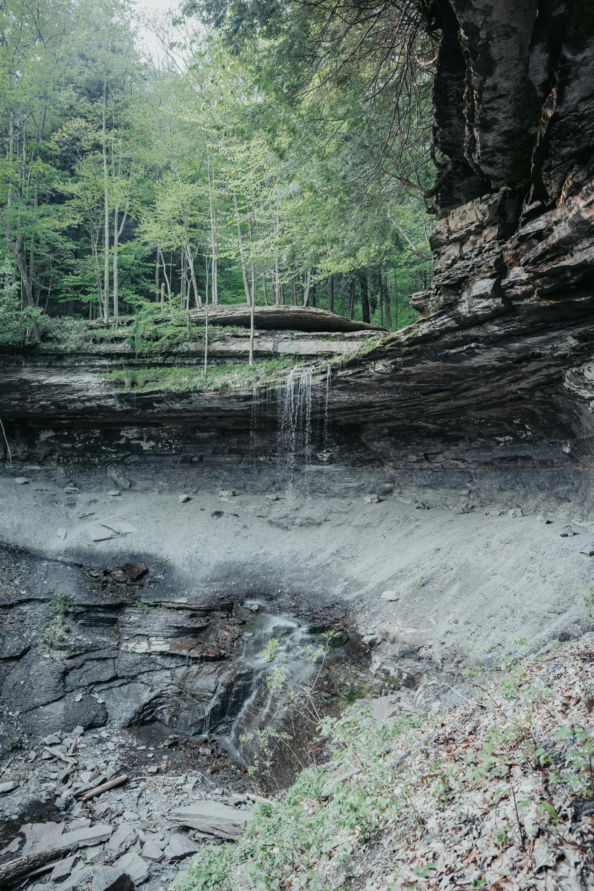 Little Maude and the&nbsp;Poem